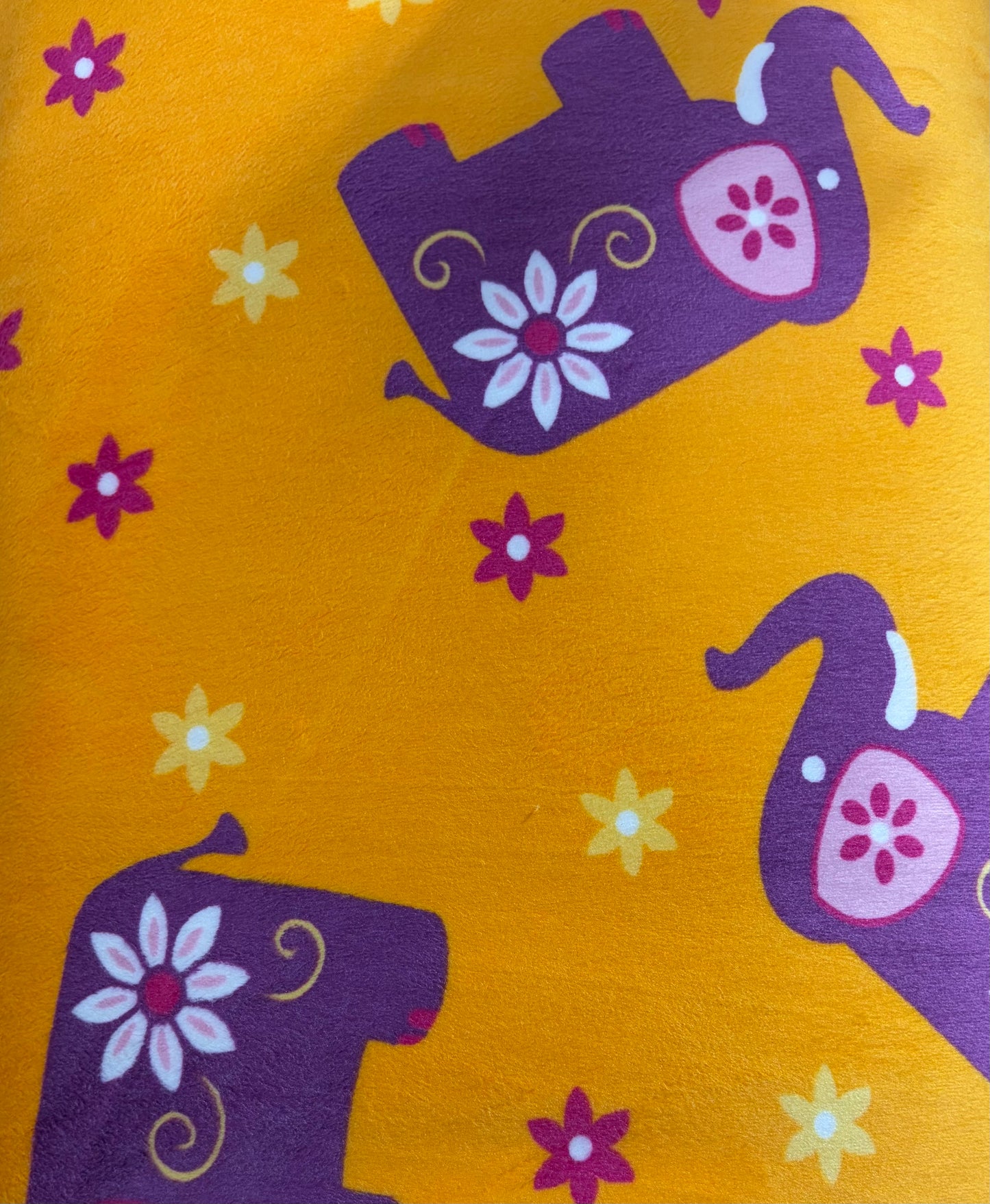 Elephant -33726211