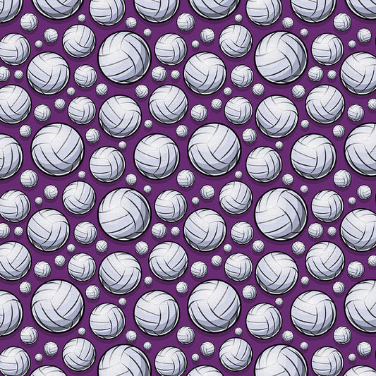Valleyball - Purple
