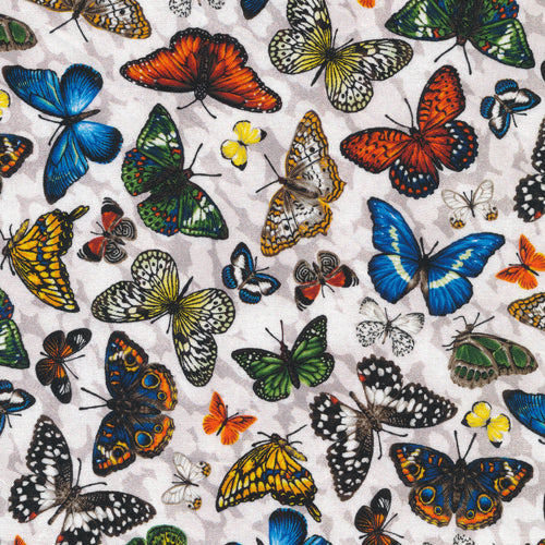 Butterflies - Grey