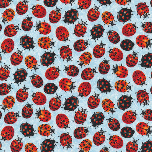 Ladybugs - Light Blue