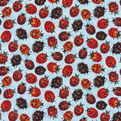 Ladybugs - Light Blue