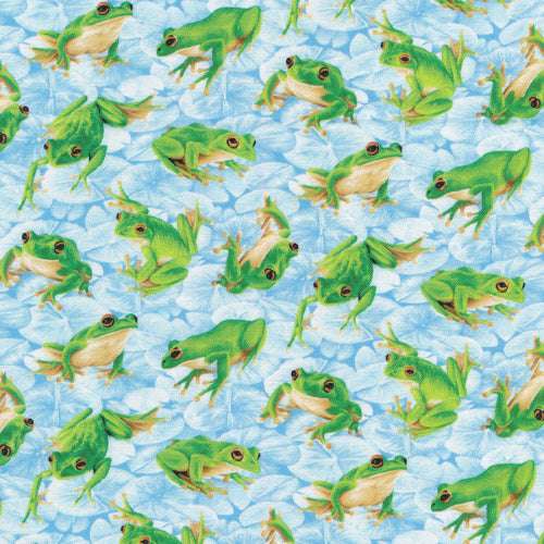 Frogs - Blue