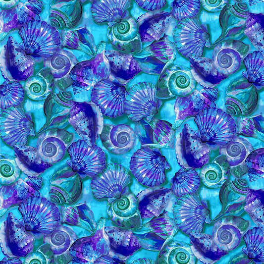 Shells - Blue