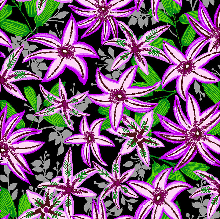 Lily - Purple