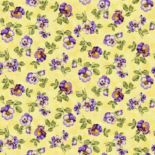 Pansy - Yellow