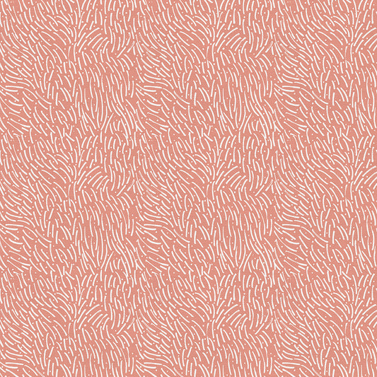 Abstract Lines - Coral