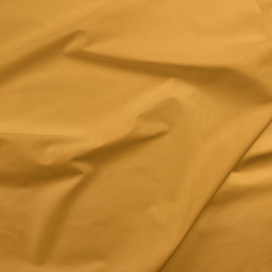 Goldenrod  121-142 - Color of the Year 2019